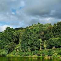 上海辰山植物園：綠色殿堂，世外桃源