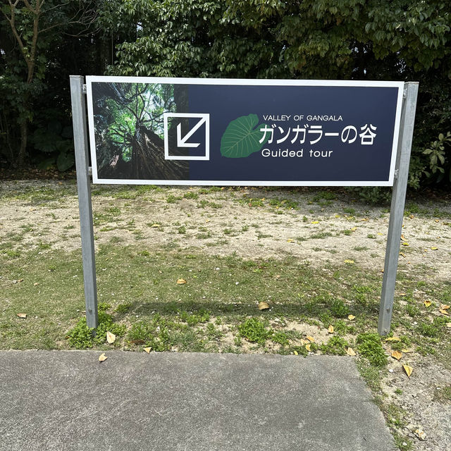 【沖縄】神秘的観光スポット！ガンがラーの谷。
