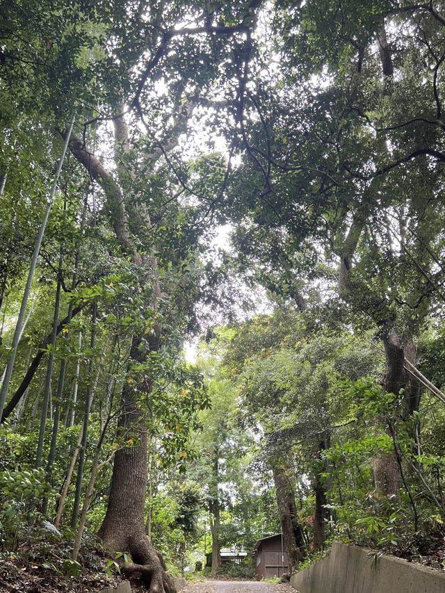 【北九州神社】竹林と杉に囲まれた静かな神社