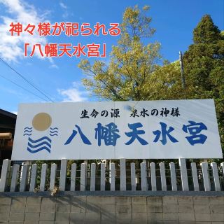 "Hachiman Tensui Shrine" where gods are enshrined