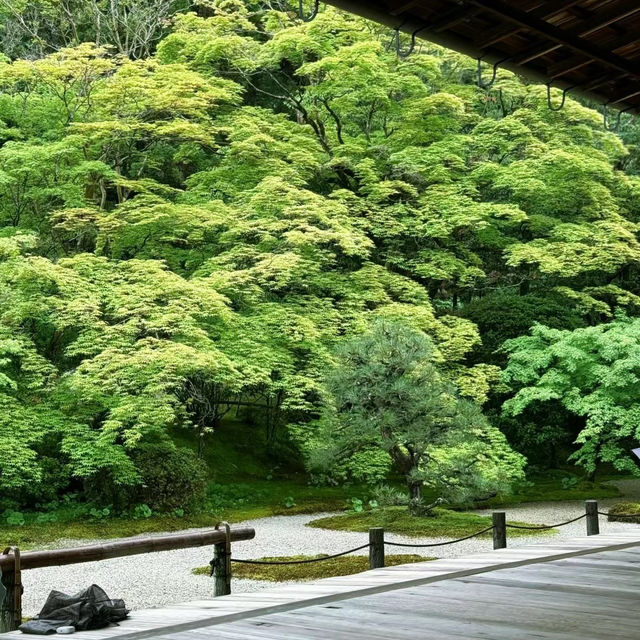 「普門院」古老文化底蘊～靈感與寧靜
