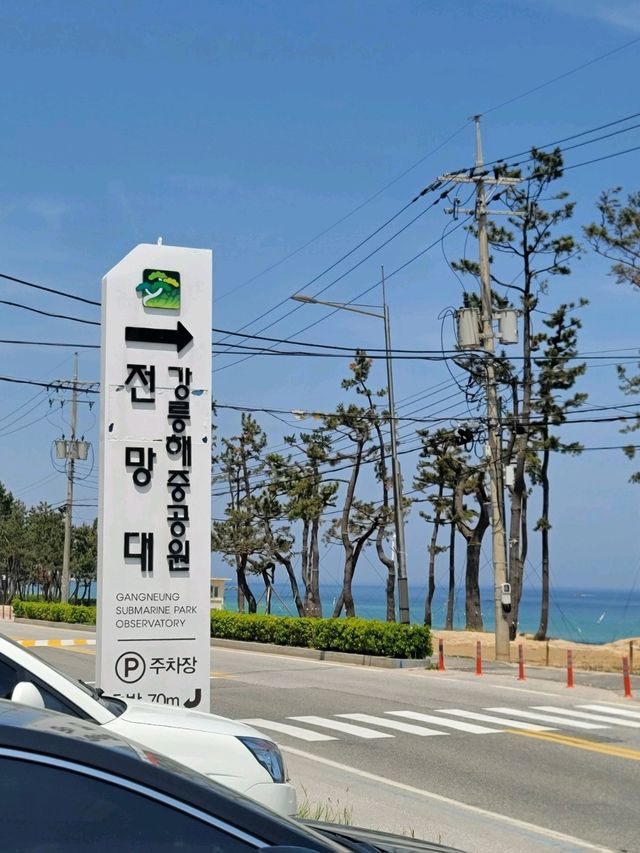 강릉바다가 젤예쁘게 보이는 해중전망대💛