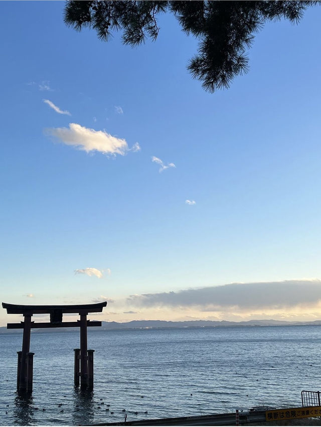 【滋賀観光】琵琶湖の中の大鳥居が圧巻⛩夕暮れ時も素敵です✨