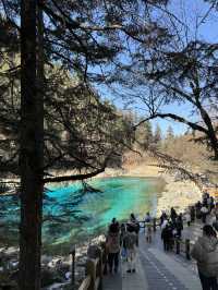 Winter in Chengdu_Jiuzhaigou