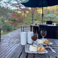 【佐賀カフェ】山の中にある隠れ家的なカフェ