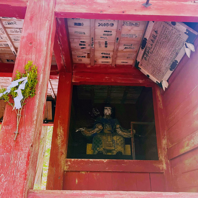 【長野県/ 木漏れ日が美しく差し込んだ幻想的な随神門 ✨】
