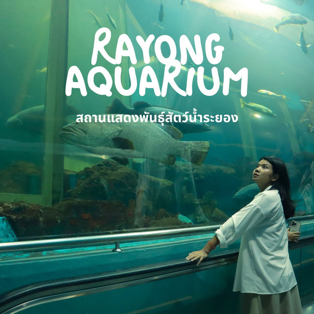 RAYONG AQUARIUM  