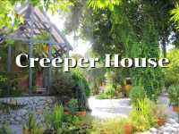 เที่ยวร้าน Creeper House ร้านกาแฟในสวน