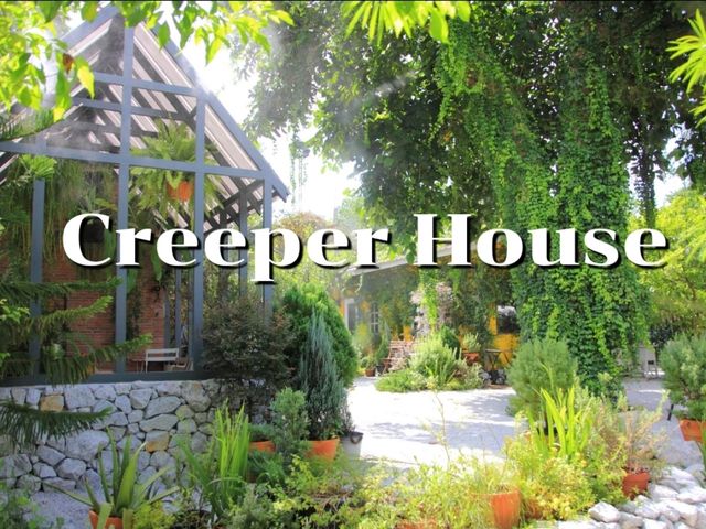 เที่ยวร้าน Creeper House ร้านกาแฟในสวน