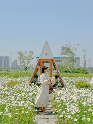 The best restaurant in Cheongju Shasta Daisy that is truly legendary🍃🤍