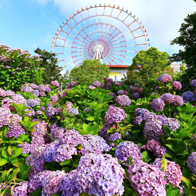 Symbol Promenade公園賞花