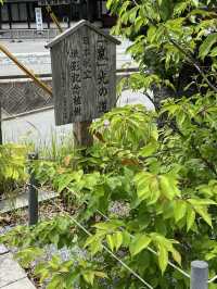 【福岡神社】初夏には菖蒲祭りも行われる神社