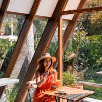 รีวิว Brown Cabin Chocolate Cafe