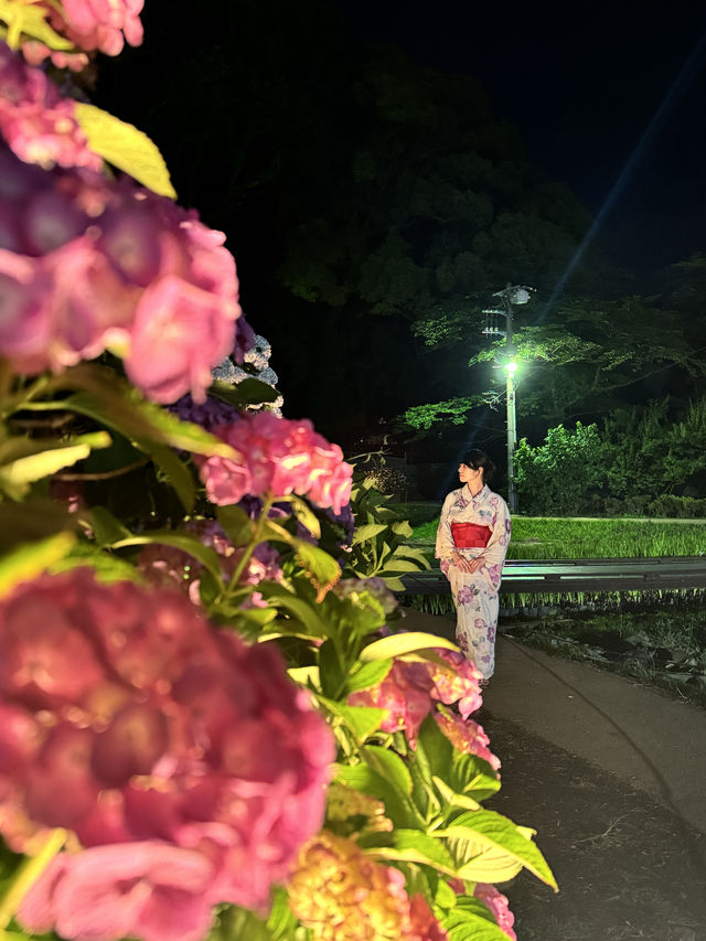 〜神奈川県〜あじさいライトアップ絶景すぎる小田原城 2024/6/1〜6/16まで！ 小