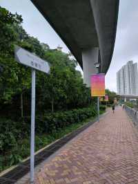 【南區海濱長廊】是一條既輕鬆又有靚靚避風塘景包圍住的小徑