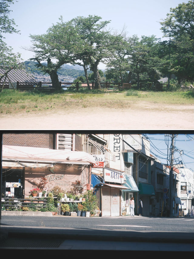 尾道｜漫步坡道之城  浪漫的濱海小鎮🚡