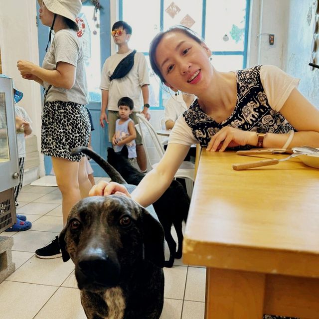 #麋鹿看海 #南寮漁港  午后約會好去處