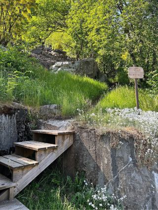 Woodnest - 挪威必住 