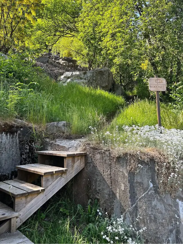 Woodnest - 挪威必住 