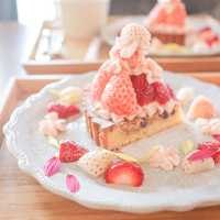 かわいい3色いちごタルト🍓