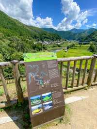 【和歌山】の絶景スポット！あらぎ島で日本の夏を満喫🌿