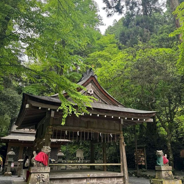 Majestic Kiyomizu-dera Temple ⛩️✨