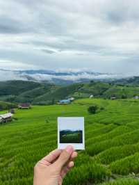 ที่พักป่าบงเปียง | เชียงใหม่ 🏡⛰️🌧️🌾