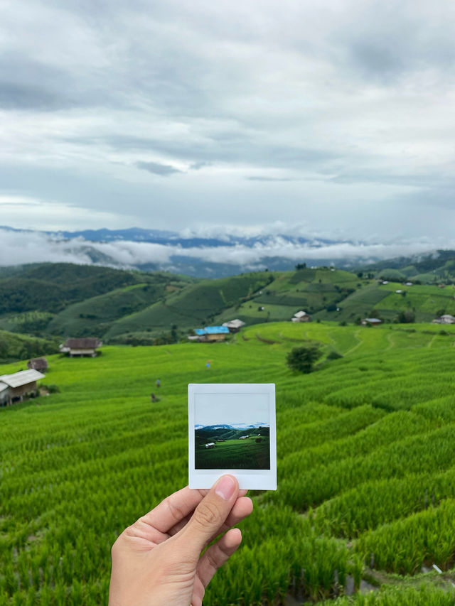 ที่พักป่าบงเปียง | เชียงใหม่ 🏡⛰️🌧️🌾
