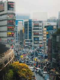 【東京必遊】新宿：購物美食夜生活，無限魅力！