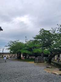 🏯마쓰야마 시내가 한눈에 보이는 마쓰야마 성🏯