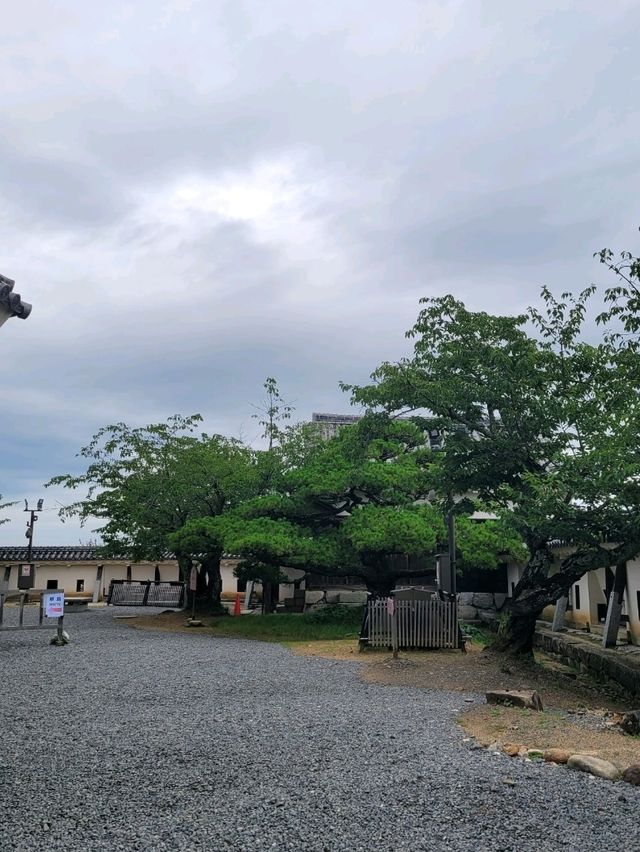 🏯마쓰야마 시내가 한눈에 보이는 마쓰야마 성🏯