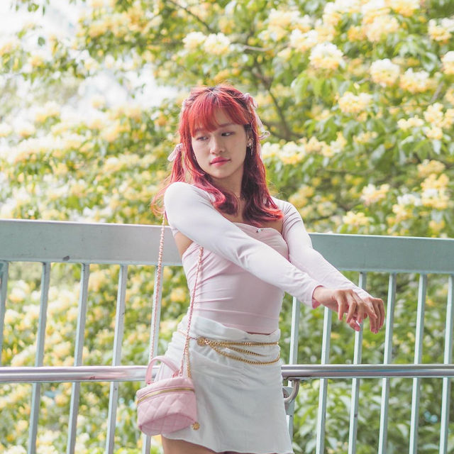 香港🇭🇰 街頭花海😍 魚木樹花季🌸