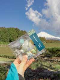 📍富士山の茶の間 -大淵笹場-