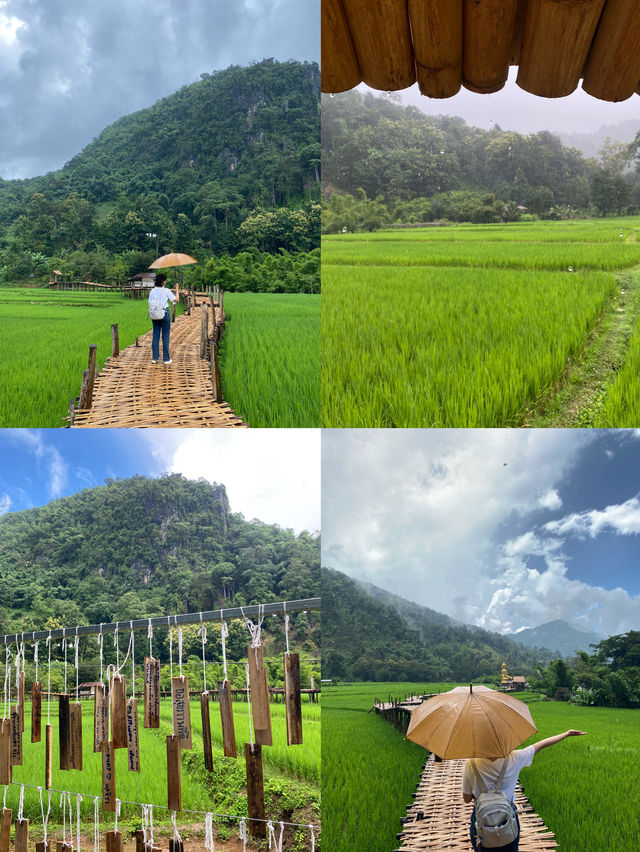 ฤดูฝนที่วัดนาคูหา | จ.แพร่ ⛰️🌳🌧️🌿