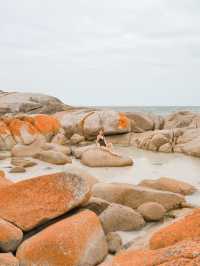 📍Bay of Fires