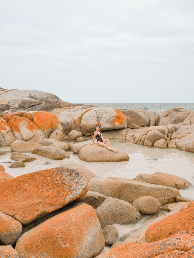 📍Bay of Fires