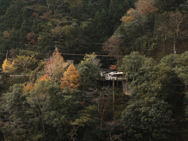 四國大步危不能錯過的峽谷咖啡廳