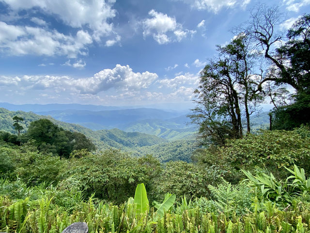 3 ลานกางเต๊นท์วิวหลักล้านที่น่าน🏕️สวยไหน-นอนนั่น 