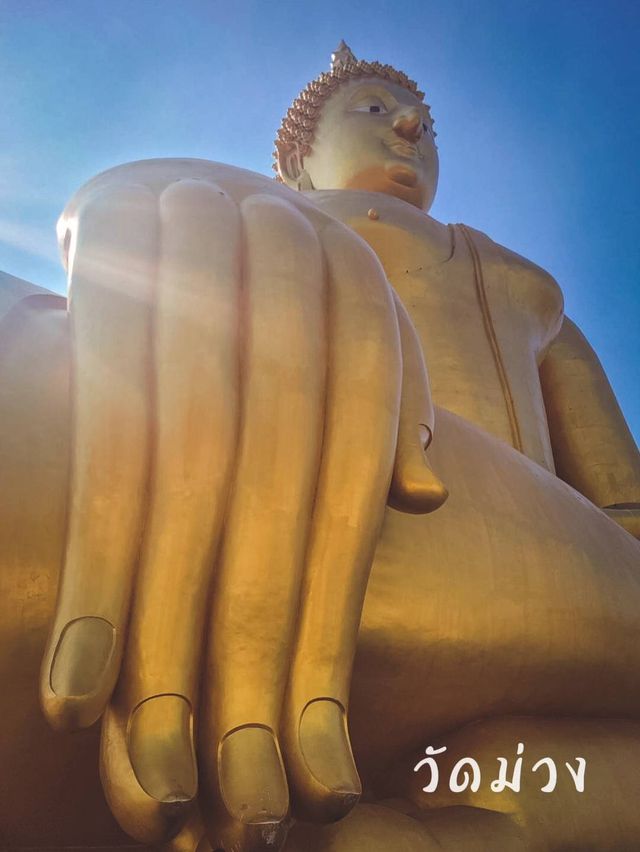 วัดม่วง@อ่างทอง