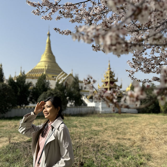 Encountering the Most Beautiful Spring at White Horse Temple
