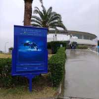 【千葉】雨でも楽しめる水族館