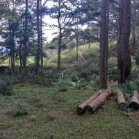 Lang Biang Mountain Hike