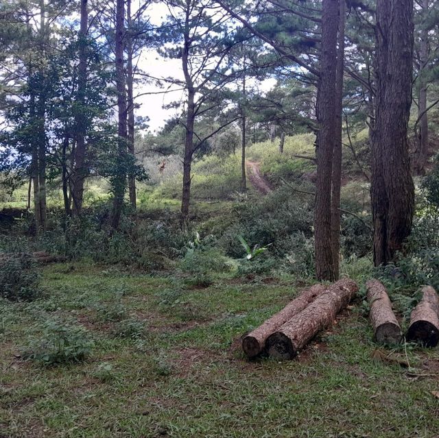 Lang Biang Mountain Hike