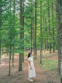 자연과 역사, 현재가 공존하는 영월 뉴트로드 여행🌿💚 