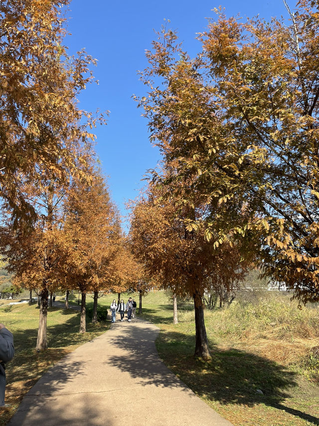 매력적인 가을 풍경의 물의정원🍂