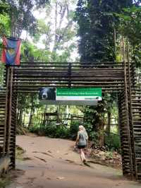 A BREATHTAKING WATERFALL EXPERIENCE