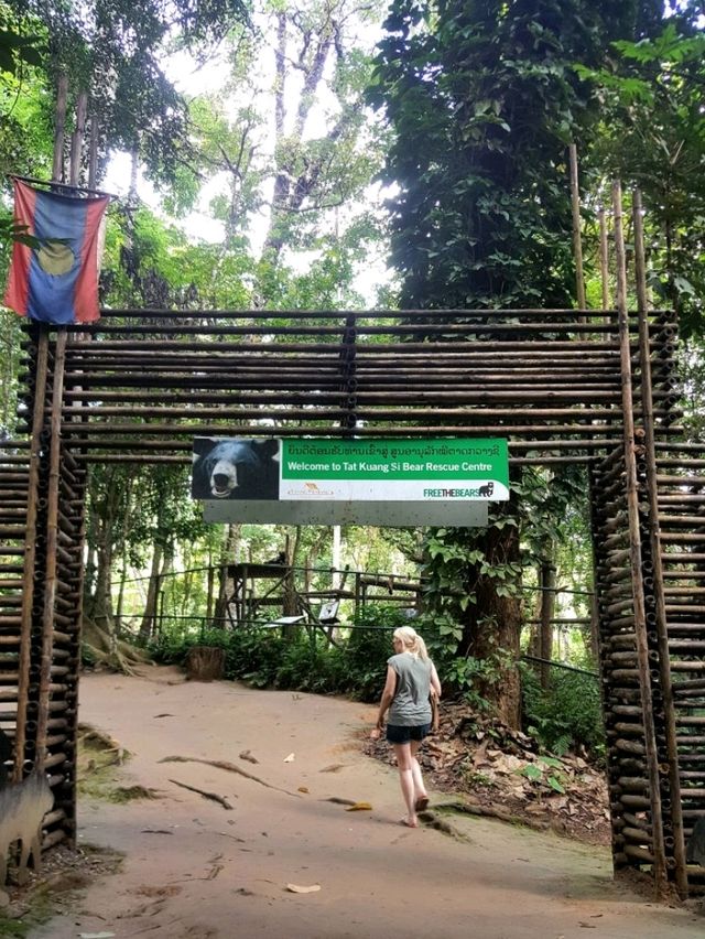 A BREATHTAKING WATERFALL EXPERIENCE