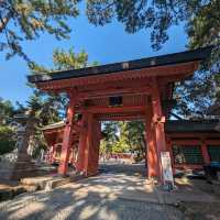 Sumiyoshi Taisha Shrine