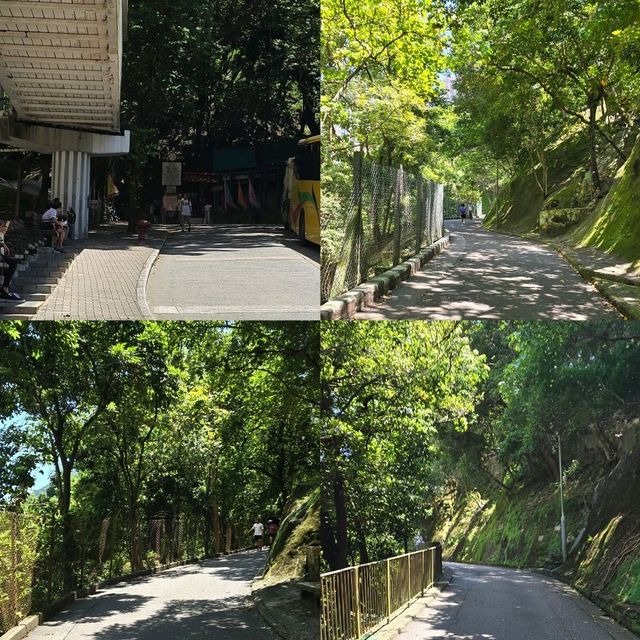 港島東區輕鬆郊遊路線😉