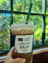MAGICAL FOREST IN CAFE AMAZON